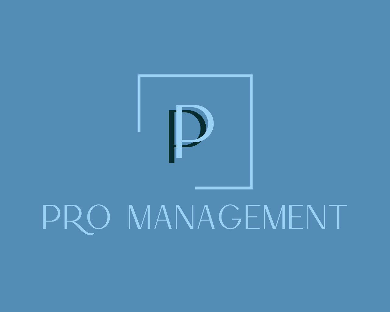 Pro Management LLC